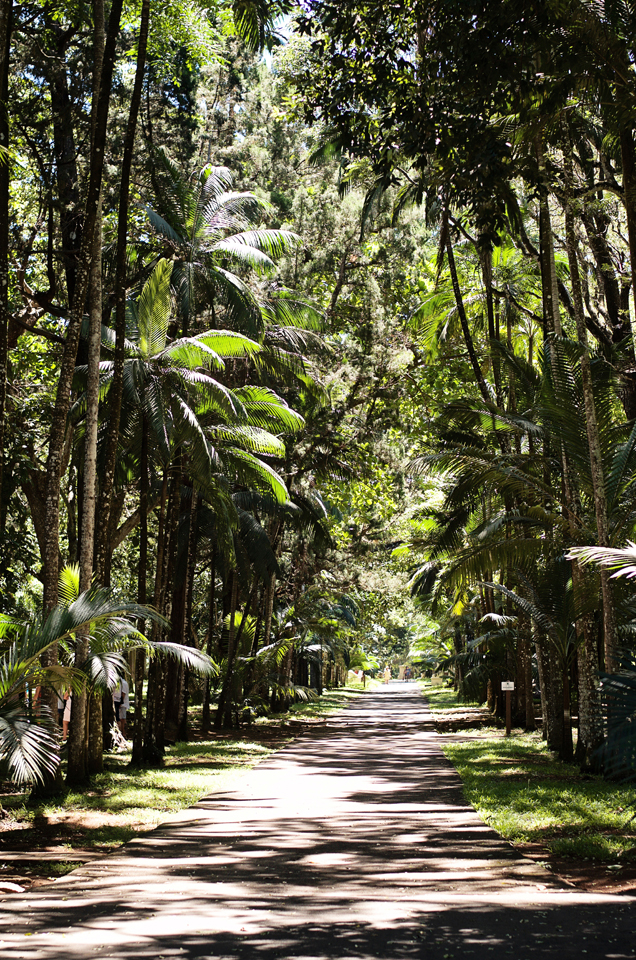 Magical-Mauritius---52